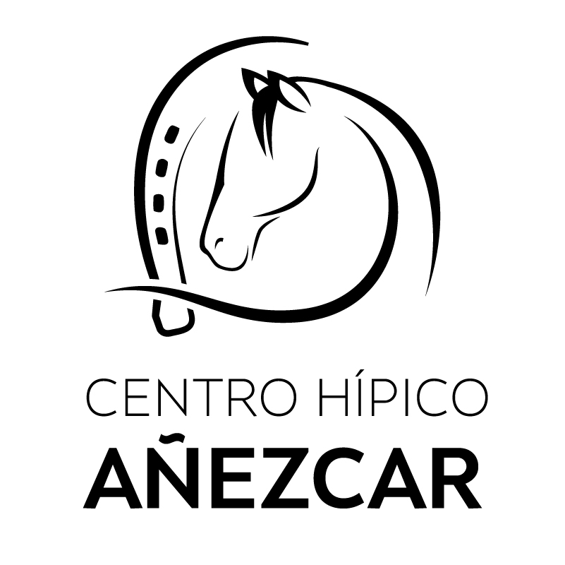 &Oacute;rdenes de salida de la 8&ordf; fase del Campeonato Navarro de Doma Cl&aacute;sica, Doma Adaptada y JJDD 2018/19